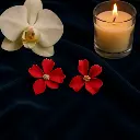 generated-image (2).webp